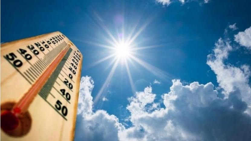 Cuáles son los cuidados y precauciones en época de calor
