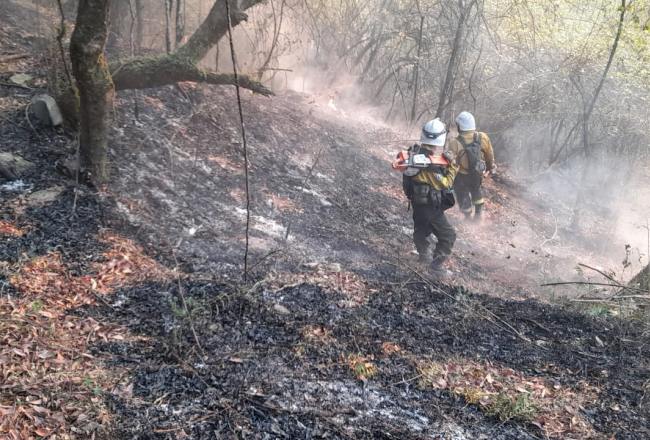 650x440_221119212629_36264