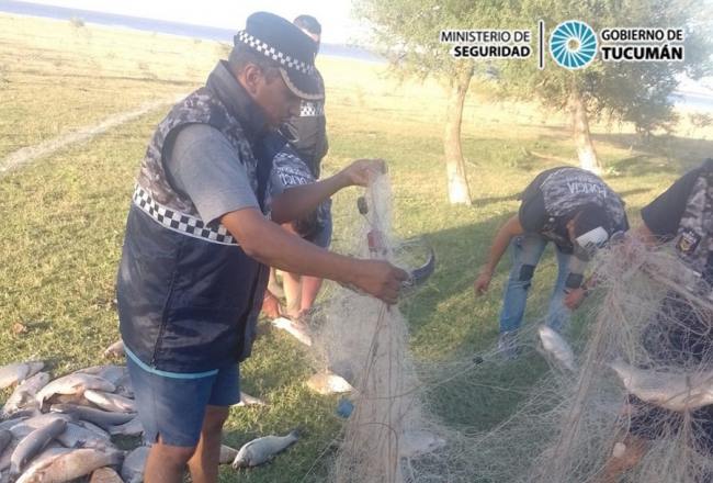 Pesca furtiva: Incautan más de 70 peces - Comunicación Tucumán