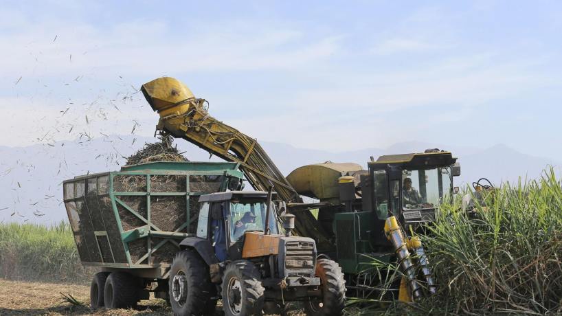 La zafra avanza con 16 ingenios en el NOA