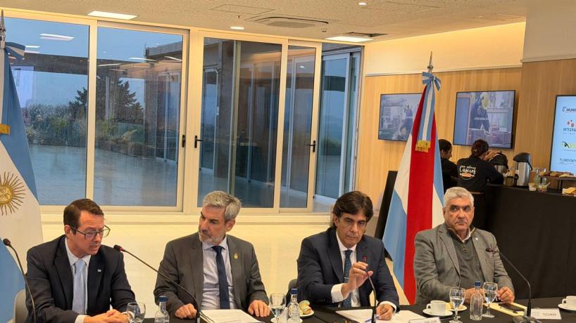 Abad participó de una nueva reunión del Consejo Federal de Responsabilidad Fiscal