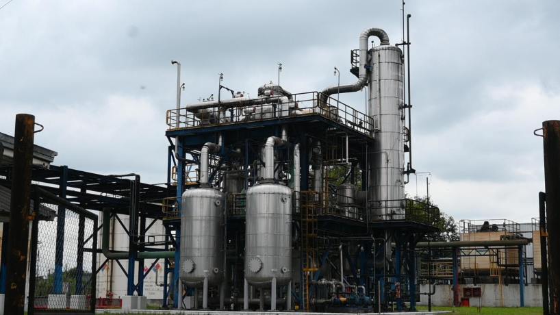 Con Tucumán a la cabeza, la producción sucroalcoholera sella un récord histórico en la campaña 2025/2026
