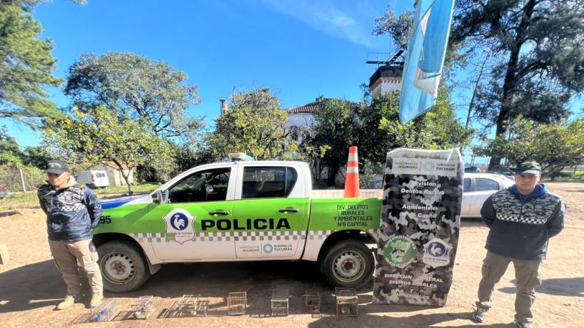 Rescatan aves silvestres que permanecían en cautiverio en un domicilio de la capital