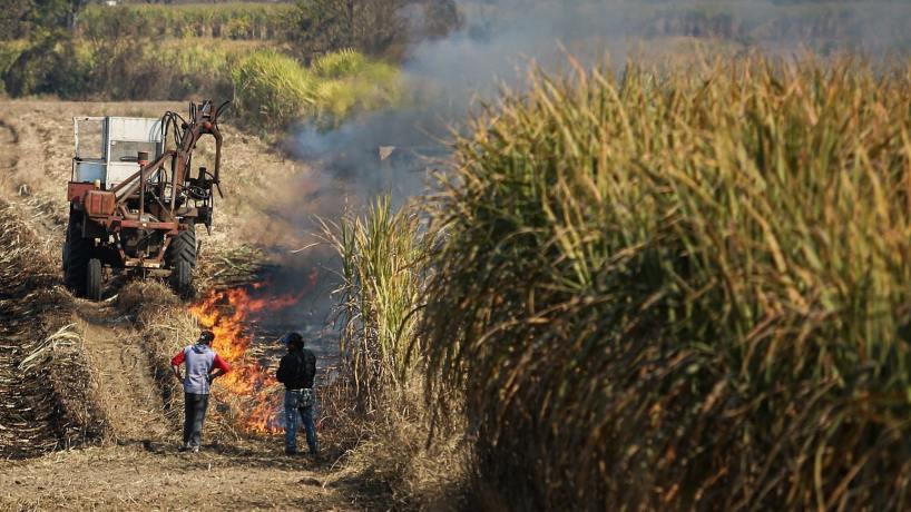 La Provincia fortalece la prevención de la quema de cañaverales y asistirá a pequeños productores