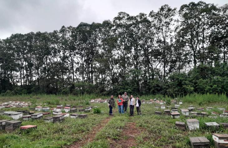 Auditorías para el uso del sello de Identificación Geográfica de Miel de Azahar de Limón