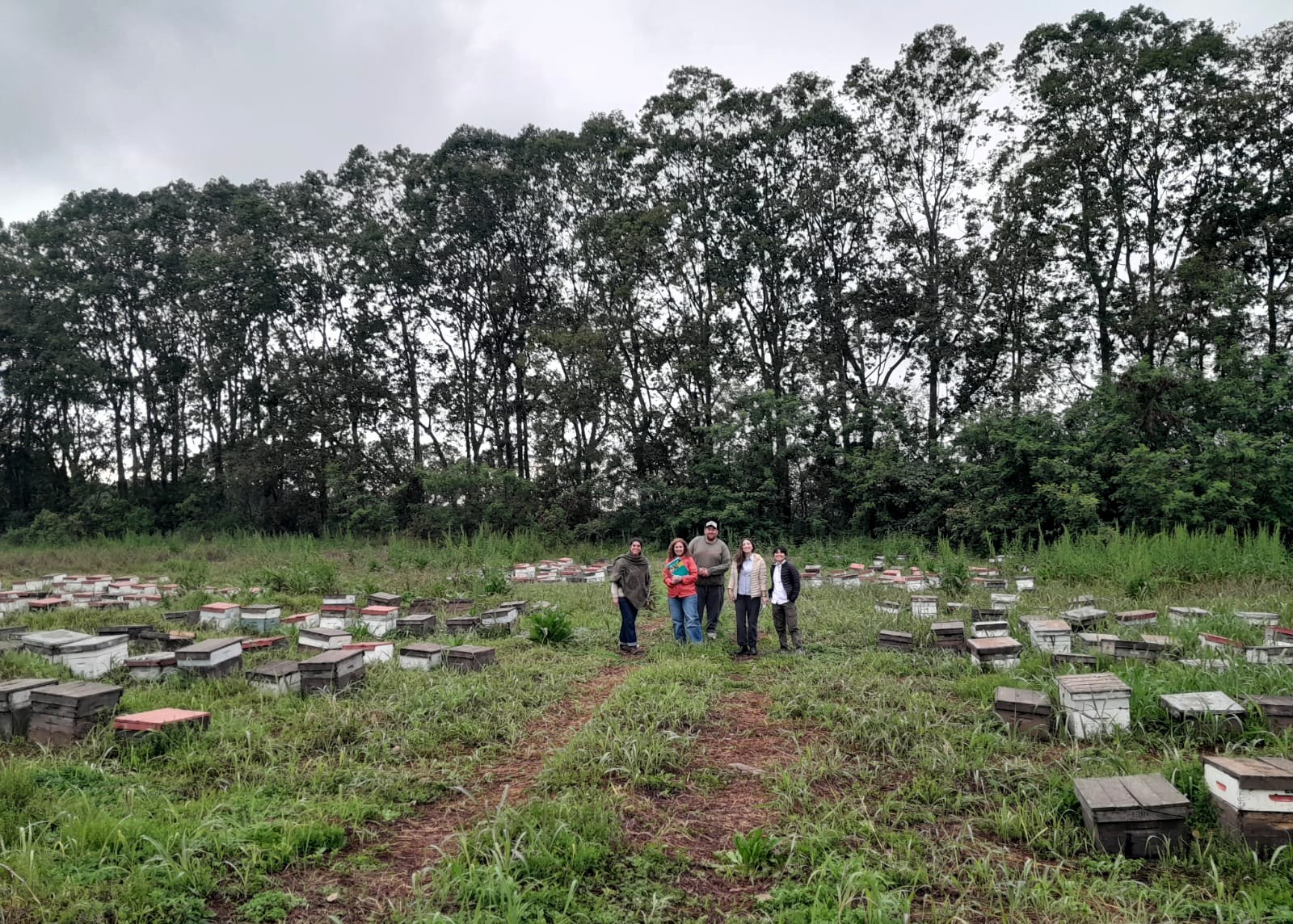 Realizan auditorias para el uso del sello de Identificación Geográfica de Miel de Azahar de Limón